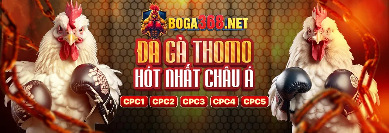 Các phương thức thanh toán an toàn và nhanh chóng tại Ace88 Link Mới